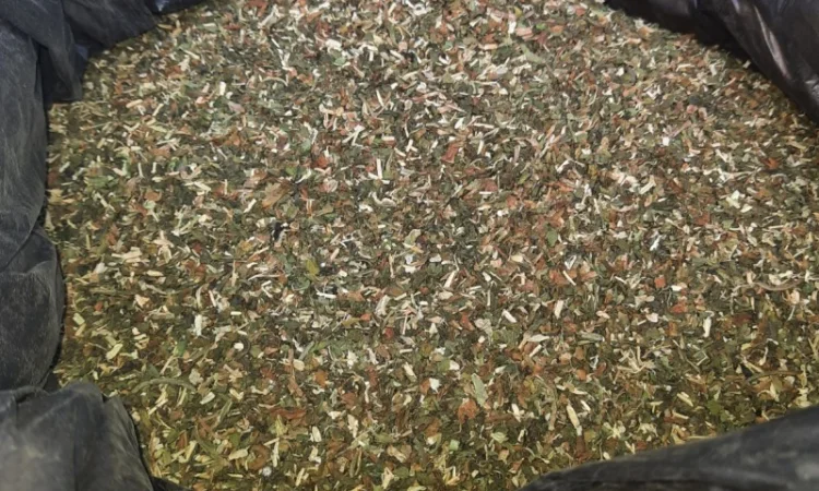 Домашній тютюн для самокруток - фото № 1