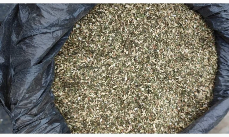 Отличный табак 2025 года - фото № 1