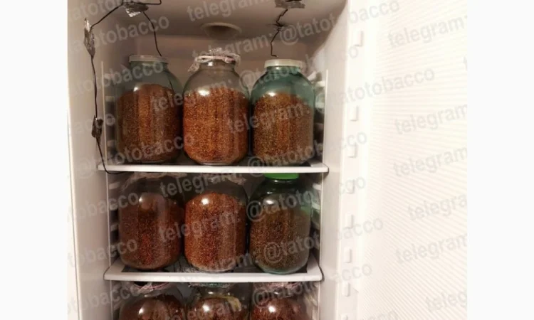 Ферментированный табак - фото № 1