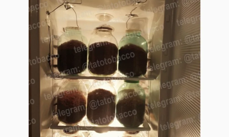 Ферментированный табак для курения - фото № 3