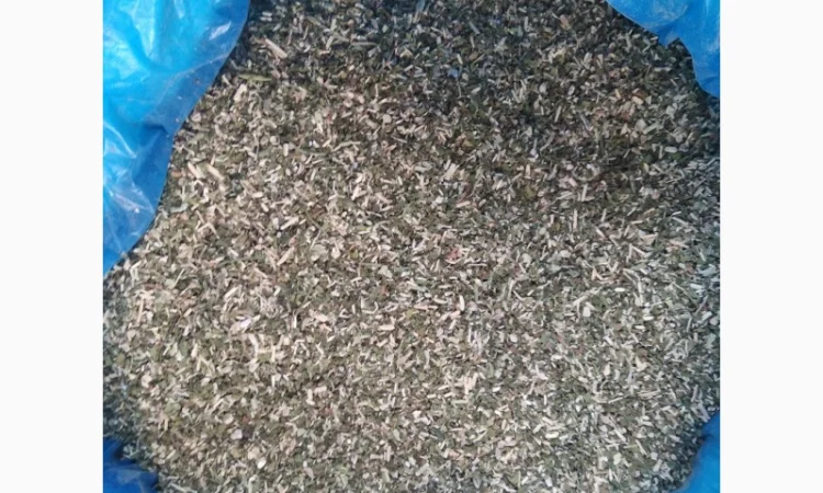 Продается качественный самосад табака - фото № 3