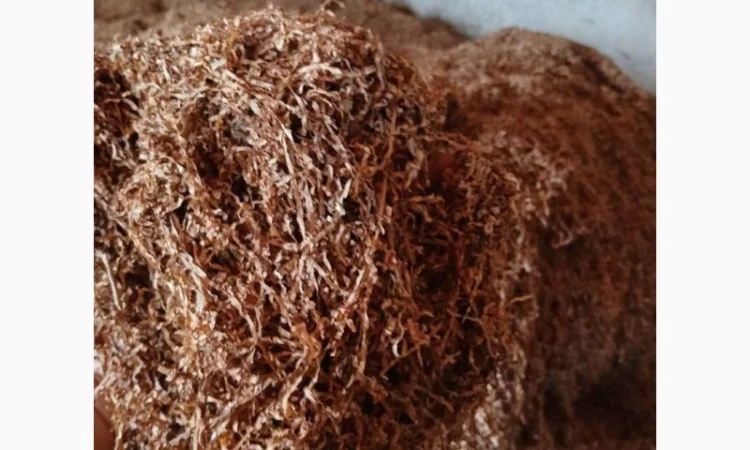 Качественный табак Вирджиния на развес - фото № 14