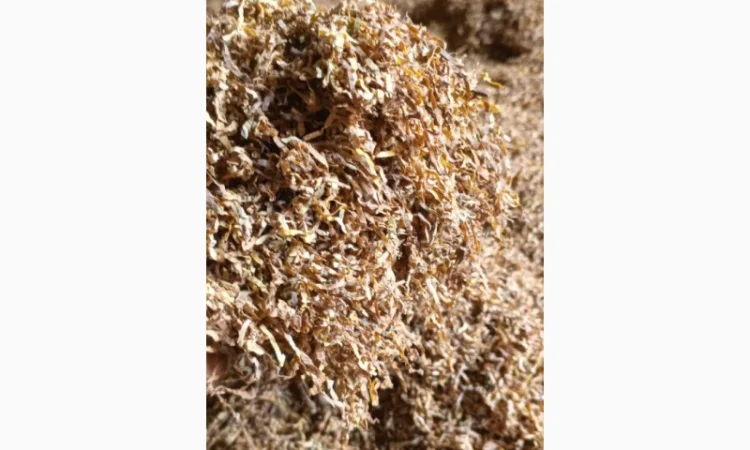 Продажа резанного табака оптом - фото № 4