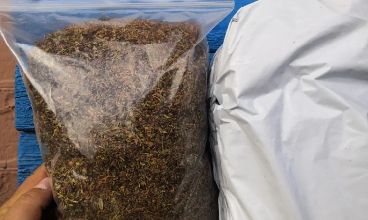 Табак Верджинии Голд и аксессуары для курения - фото № 3