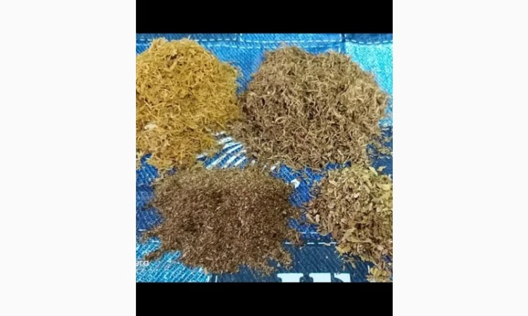 Продается качественный табак разных крепостей и нарезок - фото № 4