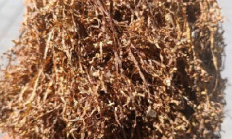 Табак оптом и в розницу от 0 - фото № 4