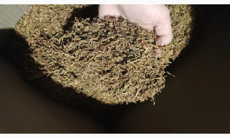 Продажа табака Вирджиния Берли Винстон и других сортов - фото № 2