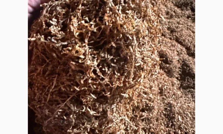 Продажа качественного тютина от 1 кг - фото № 6