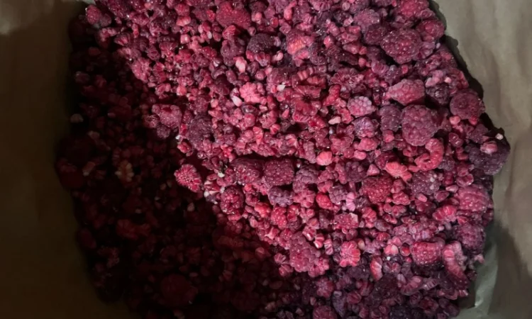 Продажа замороженной малины и других ягод - фото № 10