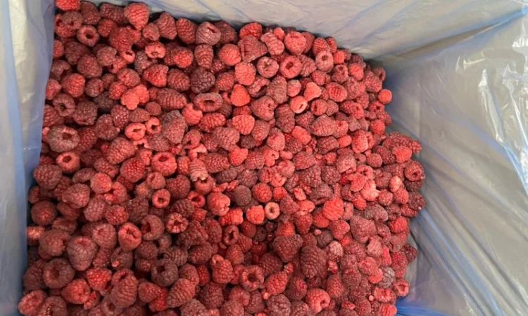Продажа замороженной малины и других ягод - фото № 6