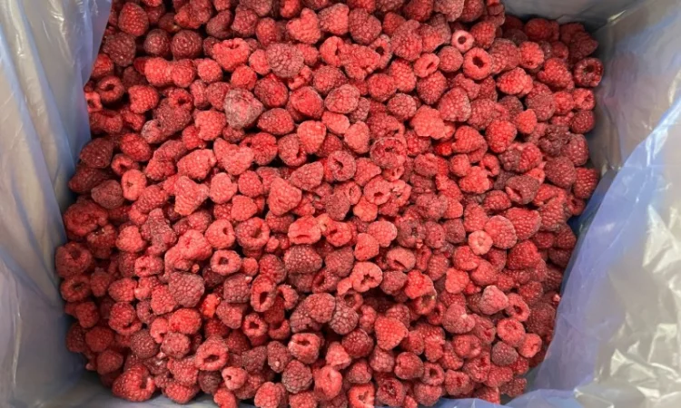 Продажа замороженной малины и других ягод - фото № 5