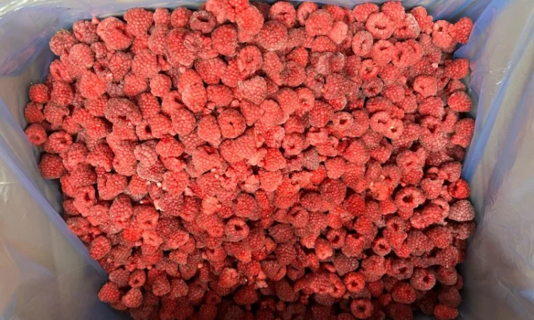 Продажа замороженной малины и других ягод - фото № 4