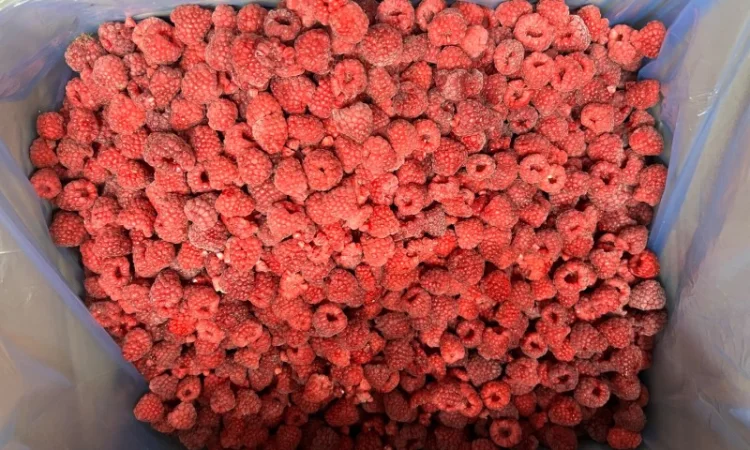 Продажа замороженной малины и других ягод - фото № 3