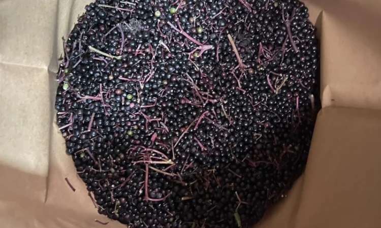 Продажа замороженной малины и других ягод - фото № 15