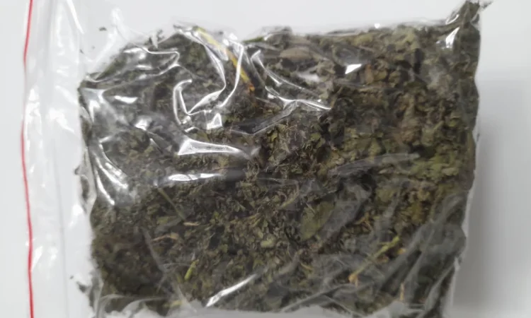 Ароматный чай из ферментированных листьев ожины - фото № 2