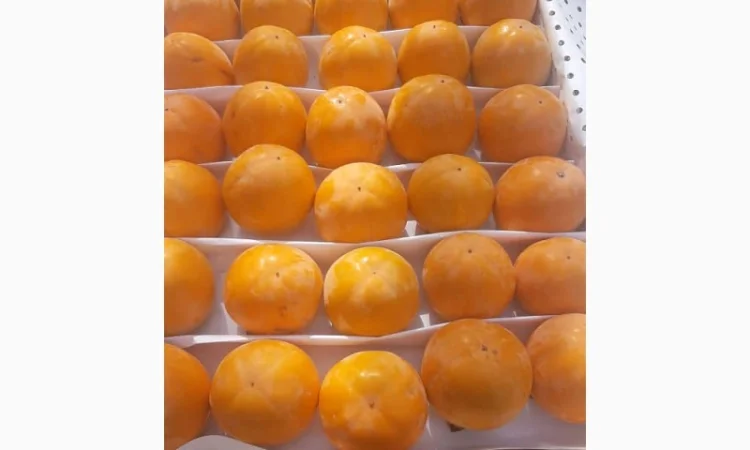 Продается гранат - фото № 1