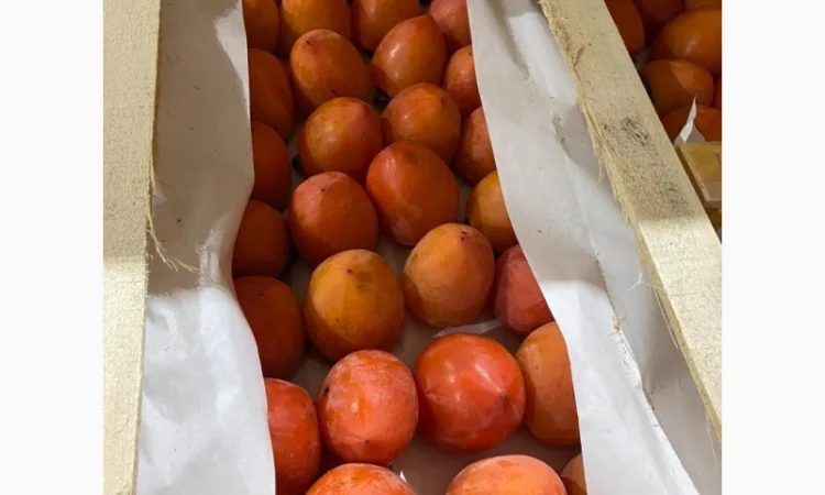 Продается гранат - фото № 2