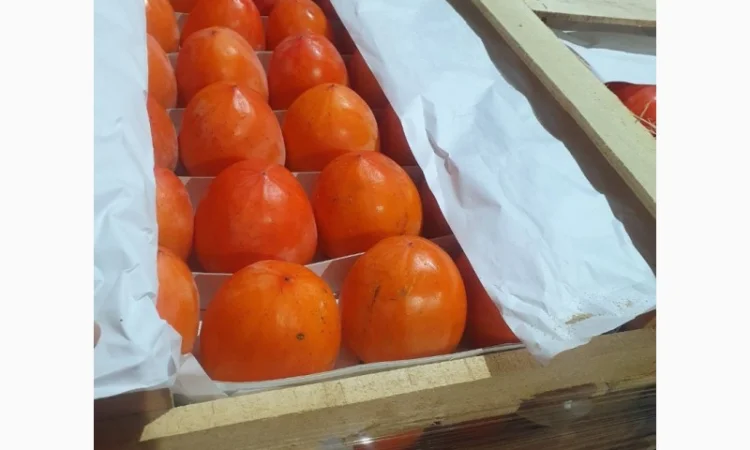 Продается гранат - фото № 5