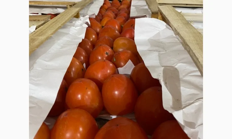 Продается гранат - фото № 7