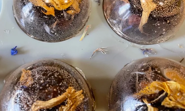 Чай в асортименті — різноманіття смаків - фото № 5