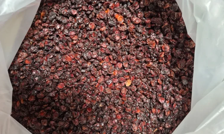 Пропонується сушена ягода калини - фото № 1