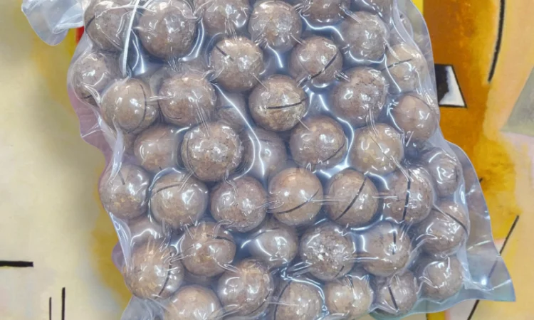 Неочищенные орехи макадамия в упаковке 500г - фото № 1