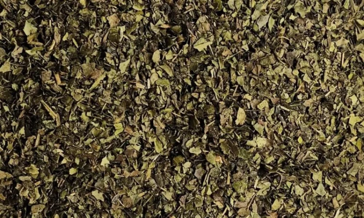 Зелений чай оптом - фото № 1