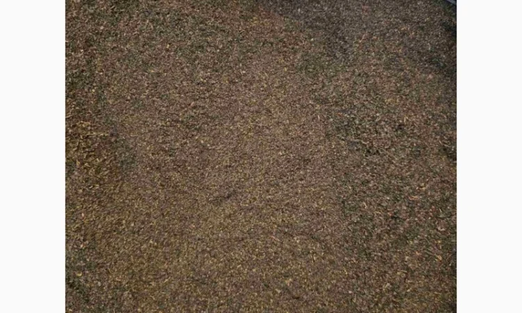 Чай черный крепкий листовой в продаже - фото № 3