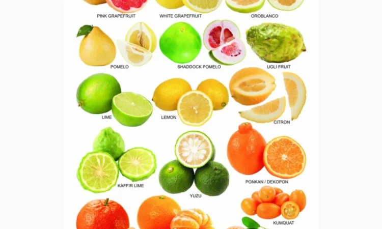 Купую фрукти 2 сорту - фото № 1