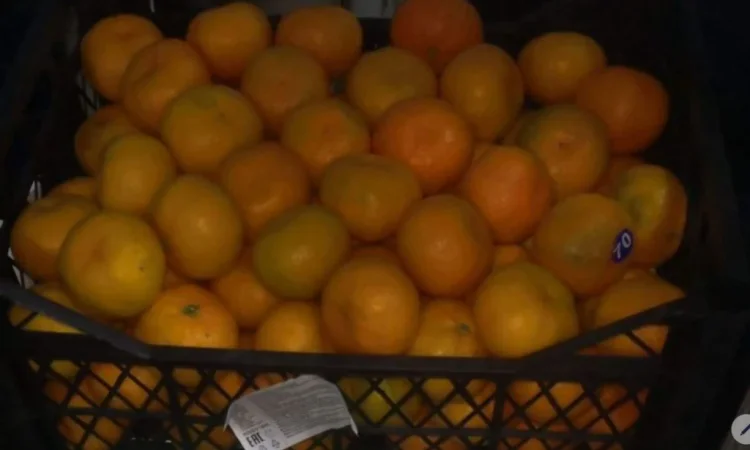 Регулярні поставки овочів та фруктів з Туреччини - фото № 1