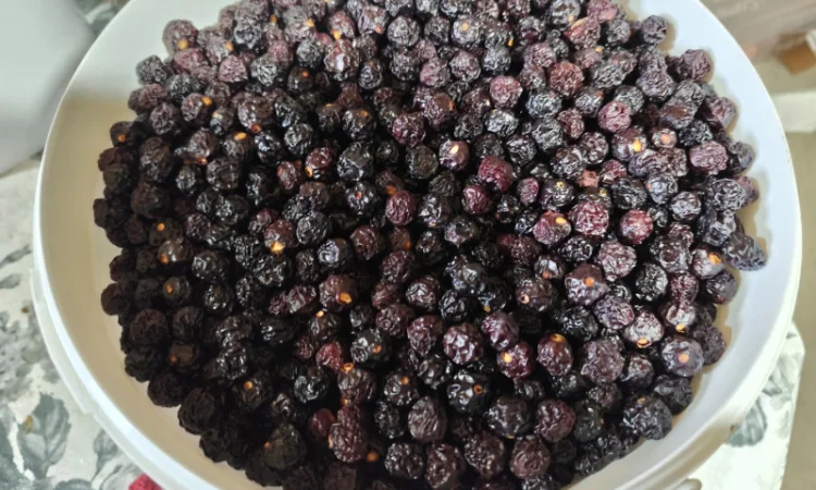 Продажа сушеных яблок, абрикос, ожины и вишни - фото № 2