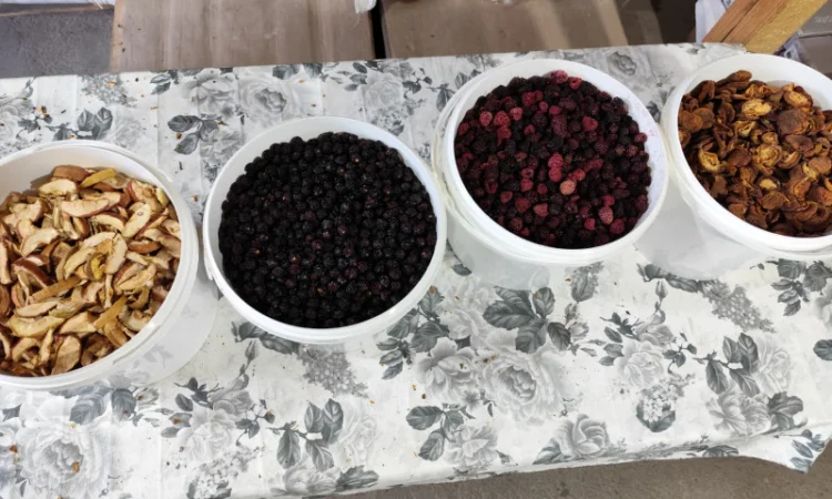 Продажа сушеных яблок, абрикос, ожины и вишни - фото № 4