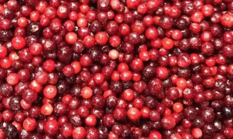 Заморожені ягоди та овочі від польської компанії за низькими цінами - фото № 1