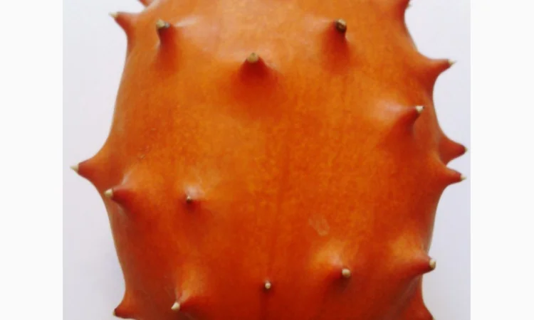 Семена кивано – уникальный экзотический фрукт - фото № 1