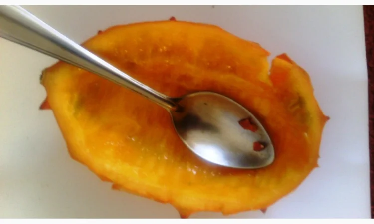 Семена кивано – уникальный экзотический фрукт - фото № 4