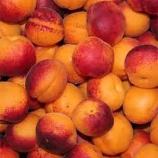 Качественный абрикос для внутреннего рынка и экспорта - от 5 тонн - фото № 1