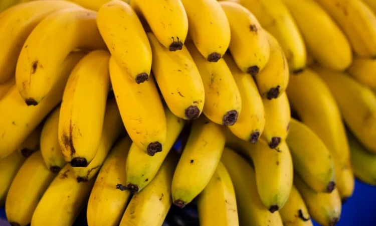 Закупаем бананы оптом в Киеве и области - фото № 1