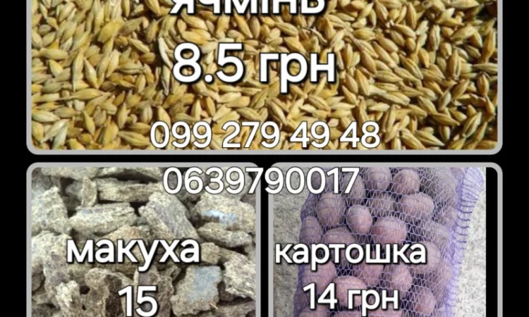 Ячмінь, картопля, сіль та інші товари - фото № 1