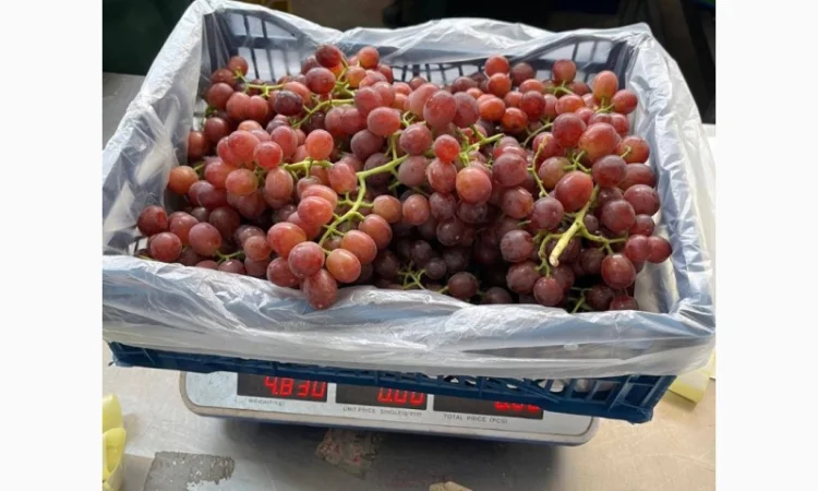 Виноград из Египта - продажа - фото № 6