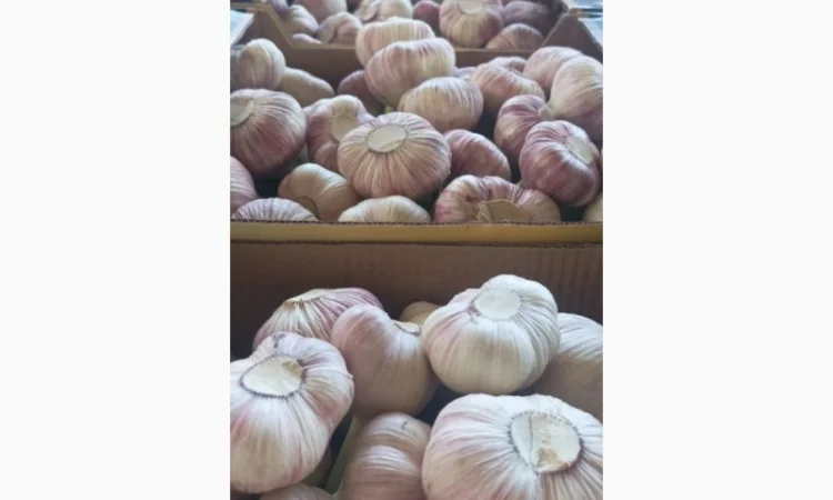 Фрукты и овощи из Египта - фото № 2