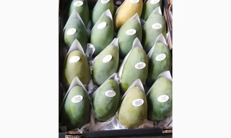 Фрукты и овощи из Египта - фото № 5