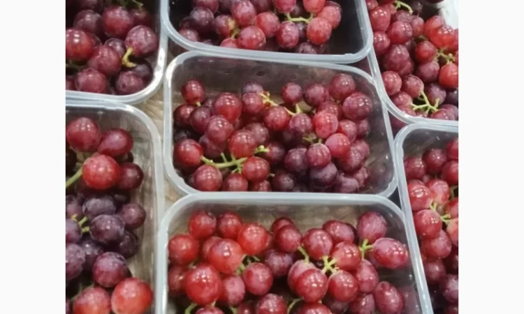 Фрукты и овощи из Египта - фото № 6