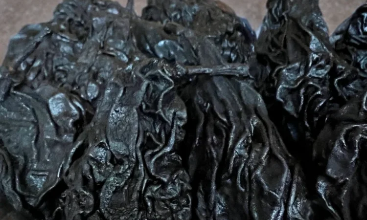 Продается сушеная груша сорта Ноябрская - фото № 4