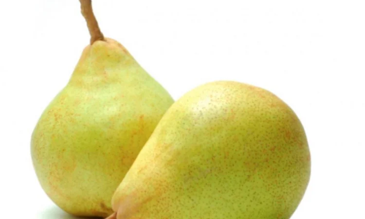 Куплю грушу для переработки - фото № 1