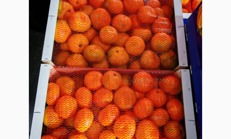 Пропонуємо свіжі мандарини від виробників - фото № 3