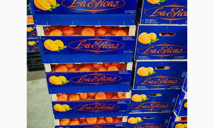 Пропонуємо свіжі мандарини від виробників - фото № 5