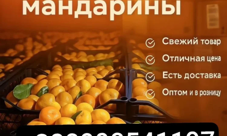 Продаются мандарины оптом - фото № 1