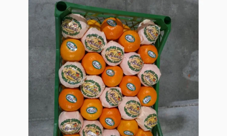 Мандарины из Турции - фото № 1