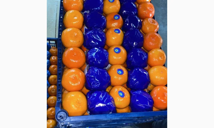 Мандарины из Турции - Прямые поставки - фото № 1