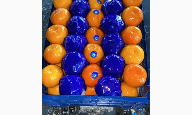 Мандарины из Турции - Прямые поставки - фото № 2